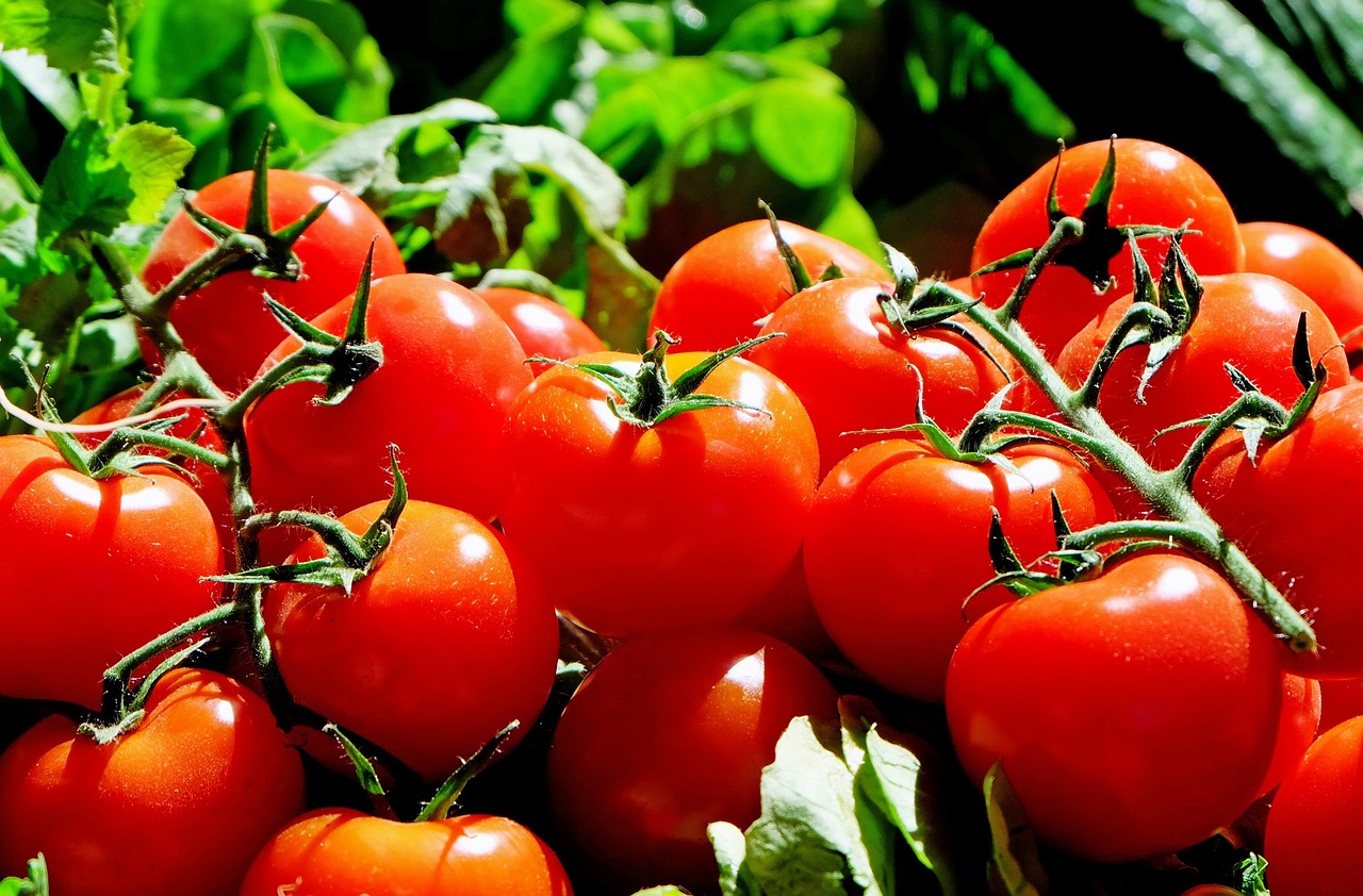 Al momento stai visualizzando INTOLLERANZE ALIMENTARI