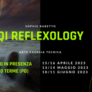Qi Reflexology 2023